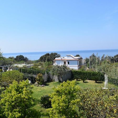 Depandance Del Leone Di Mare Apartment Procida Exterior photo